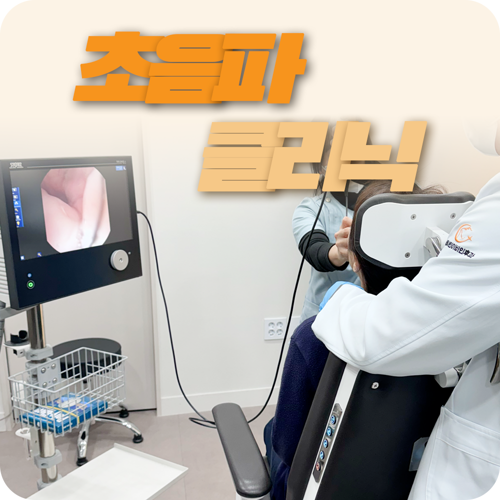 초음파 코너