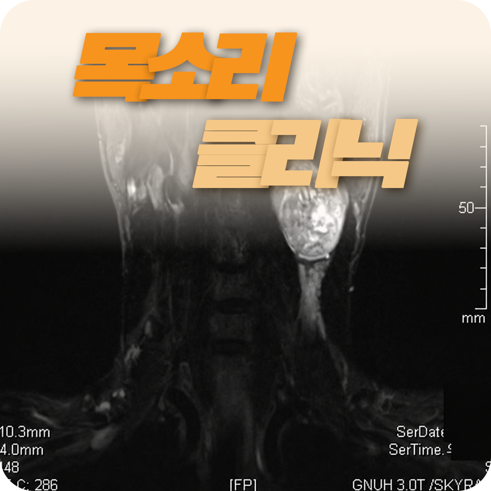 목소리 클리닉