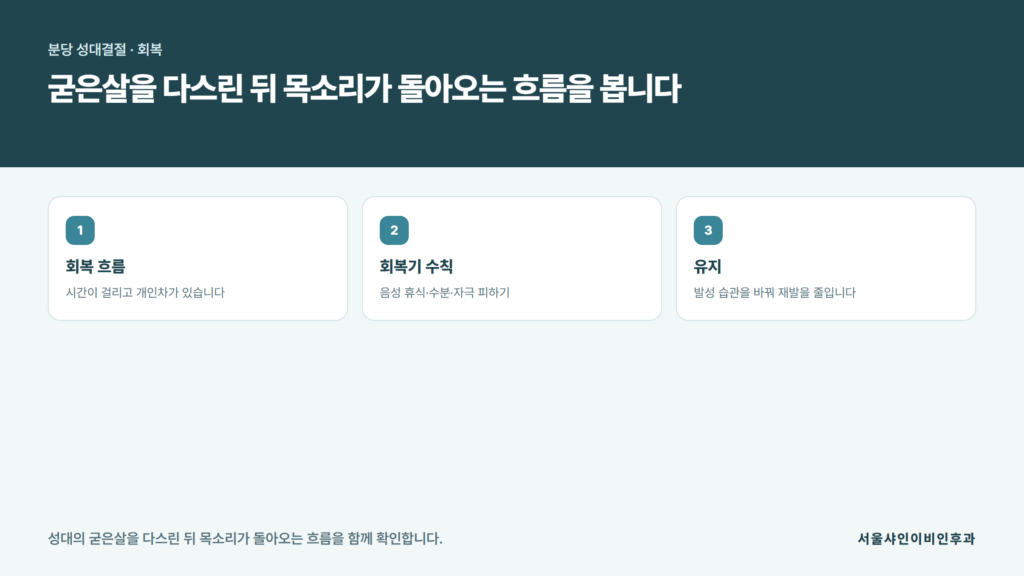 목을 무리하게 쓴 뒤 생긴 성대의 굳은살 같은 조직이 음성 휴식과 발성 습관 교정으로 서서히 편해지는 회복 흐름을 정리한 서울샤인이비인후과 자료 이미지