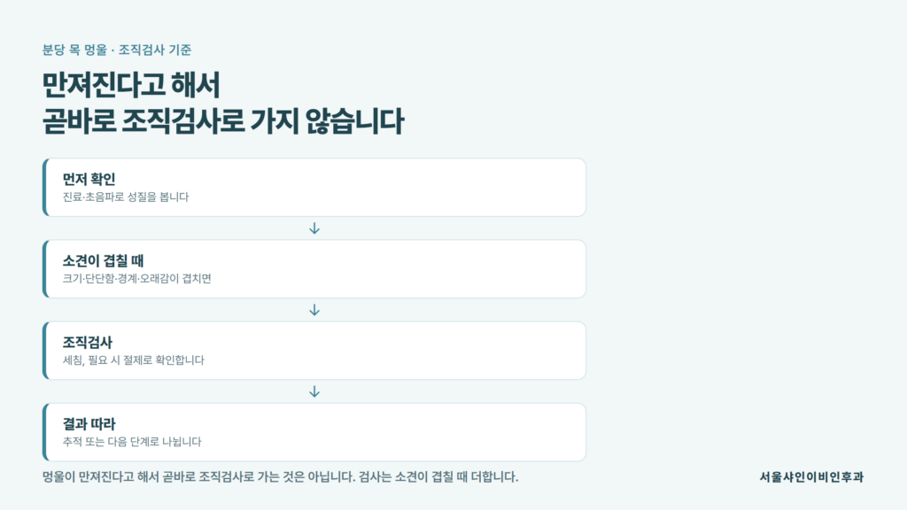목에 만져지는 혹을 진료와 초음파로 살핀 뒤 필요할 때만 조직검사로 이어 가는 판단 기준을 정리한 서울샤인이비인후과 자료 이미지