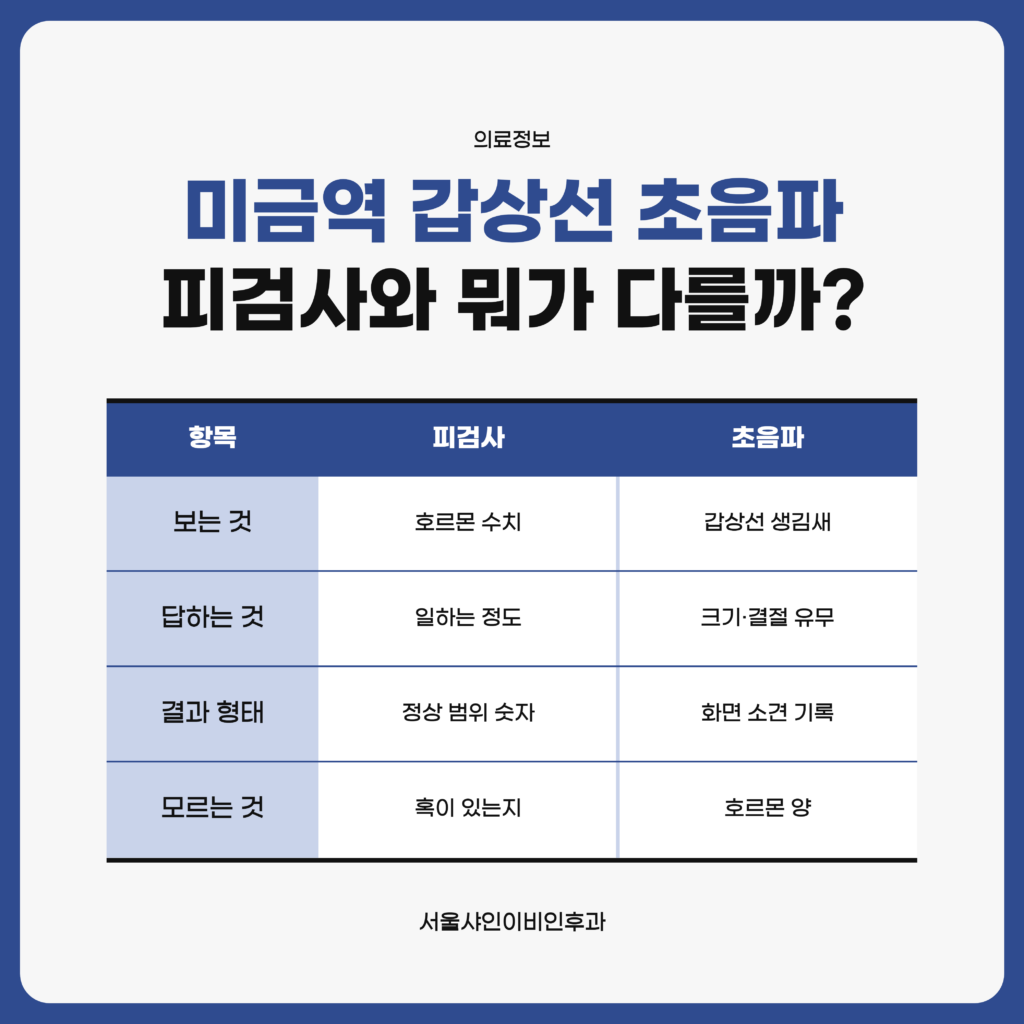 갑상선 피검사가 보는 호르몬 수치와 갑상선 초음파가 보는 크기·결절 같은 생김새를 나란히 비교한 서울샤인이비인후과 자료 도표