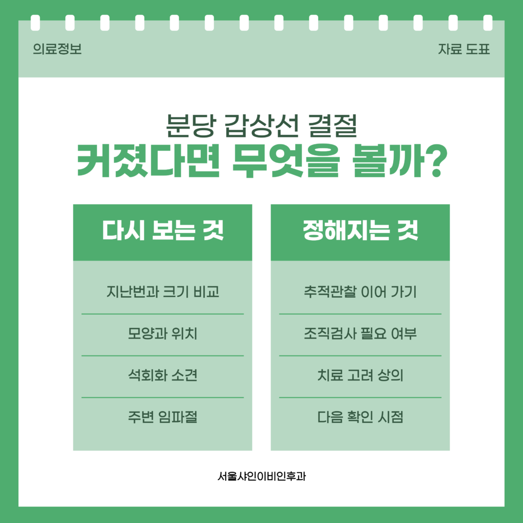 분당 서울샤인이비인후과 초음파 클리닉에서 갑상선 결절이 커졌다는 결과를 받은 뒤 다시 보는 크기·모양·위치·석회화·주변 임파절과, 그 결과로 정해지는 추적관찰·조직검사·치료 상의를 두 묶음으로 정리한 자료 이미지